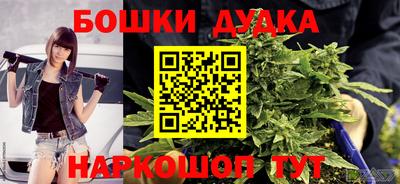 МДПВ Обь