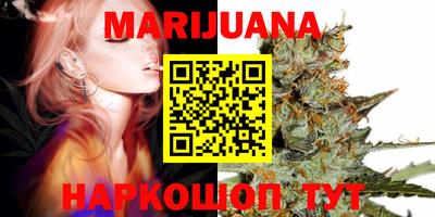 МДПВ Обь