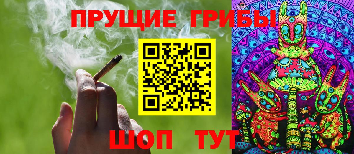 Псилоцибиновые грибы Cubensis Кирово-Чепецк